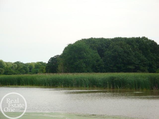 32411 Sutton Road New Baltimore, MI 48047 - Photo 37 of 42