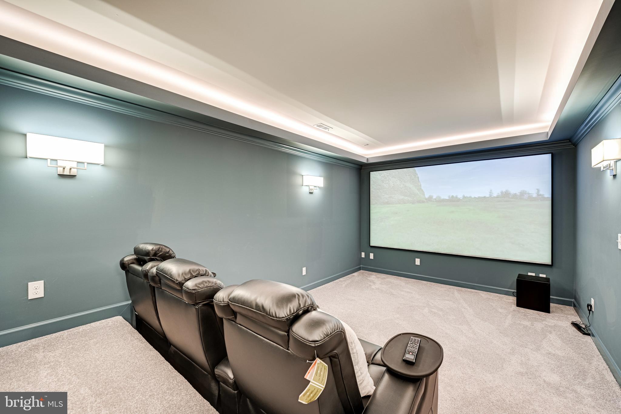 7020 Capitol View Drive McLean, VA 22101 - Photo 36 of 46 Movie Theater