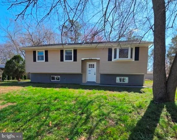 a house that has a tree in front of the house