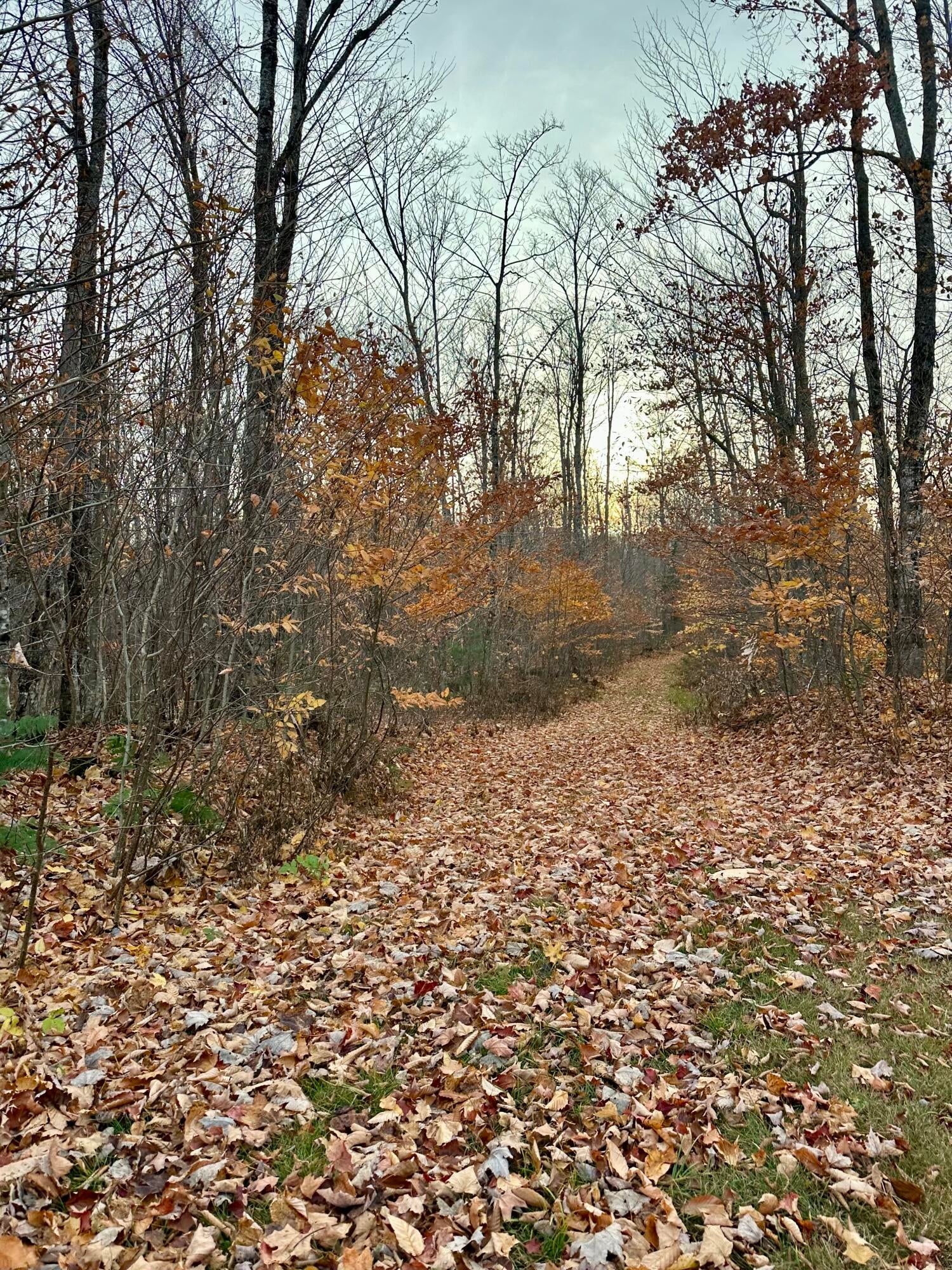 7699 Old Grade Road Newberry, MI 49868 - Photo 27 of 28 Gallery Image 27
