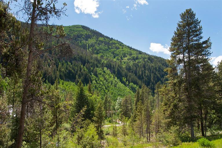 4192 Spruce Way, Unit 204A Vail, CO 81657 - Photo 18 of 21 a view of a garden