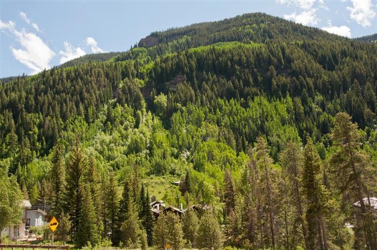4192 Spruce Way, Unit 204A Vail, CO 81657 - Photo 19 of 21 a view of a garden