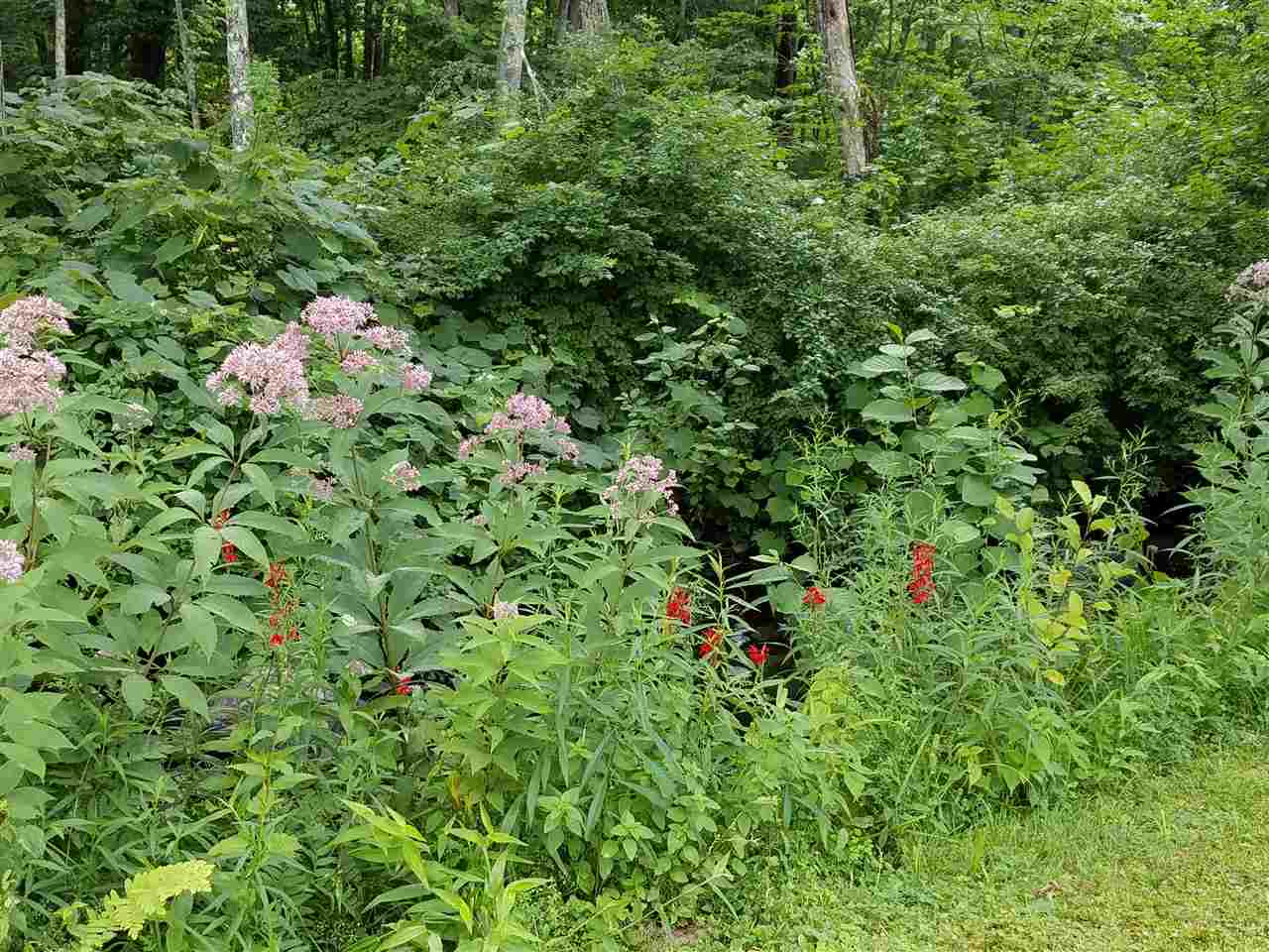 75 South Barnstead Road Barnstead, NH 03225 - Photo 34 of 38
