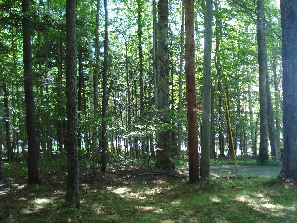Lot 2-4 Pond Road Sidney, ME 04330 - Photo 1 of 7 Land Lot