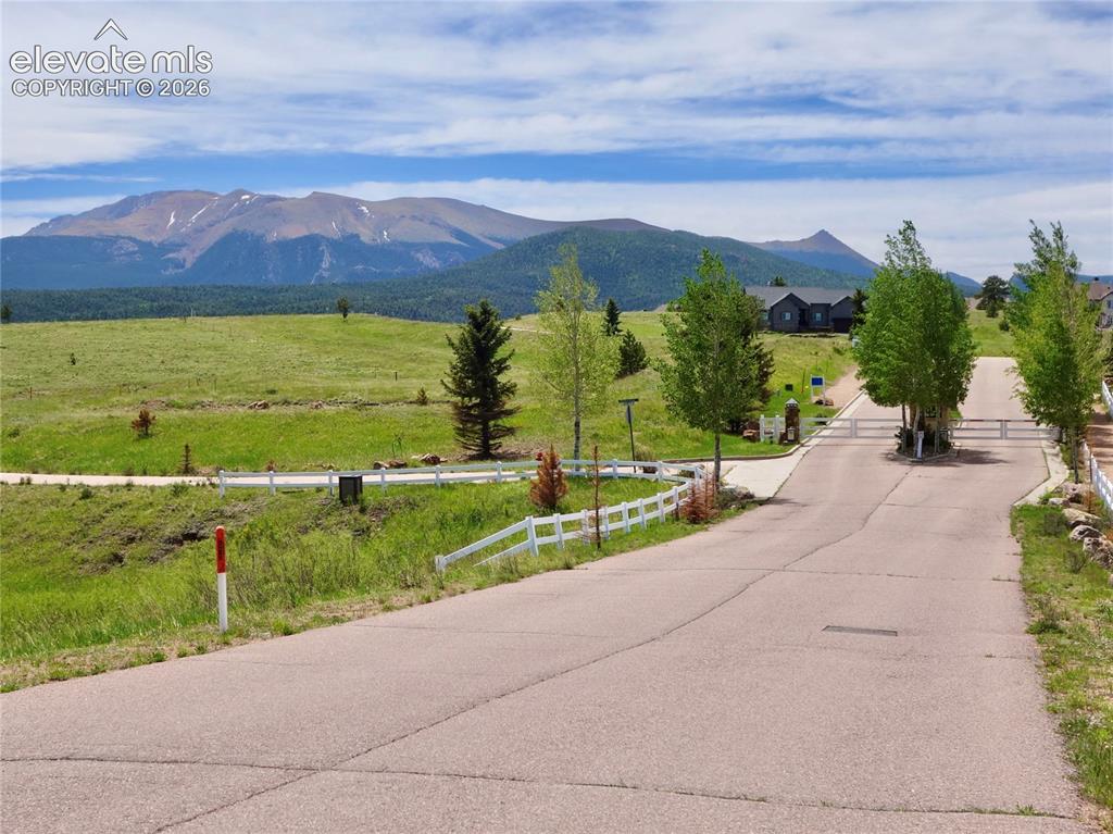 307 Pinaceae Heights Divide, CO 80814 - Photo 9 of 9