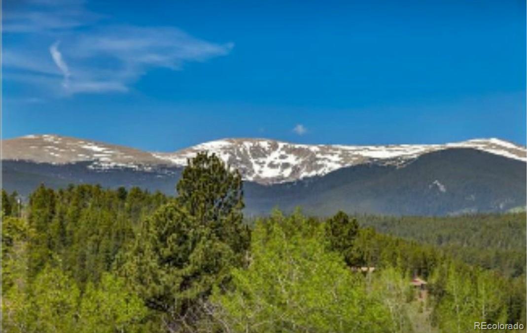 591 North Random Road Bailey, CO 80421 - Photo 25 of 25