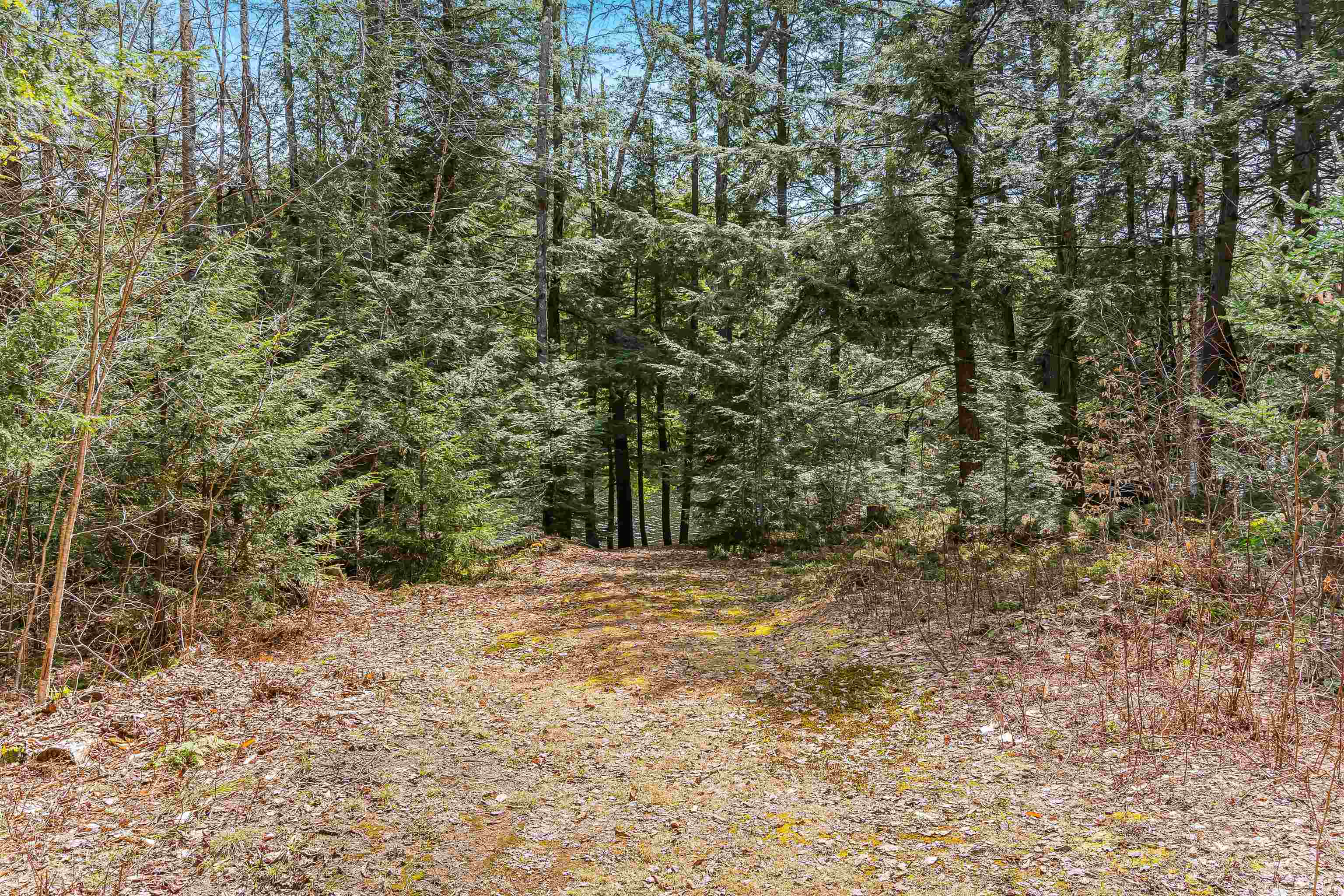 487 Barnett Road Calais, VT 05650 - Photo 25 of 40 Gallery Image 25