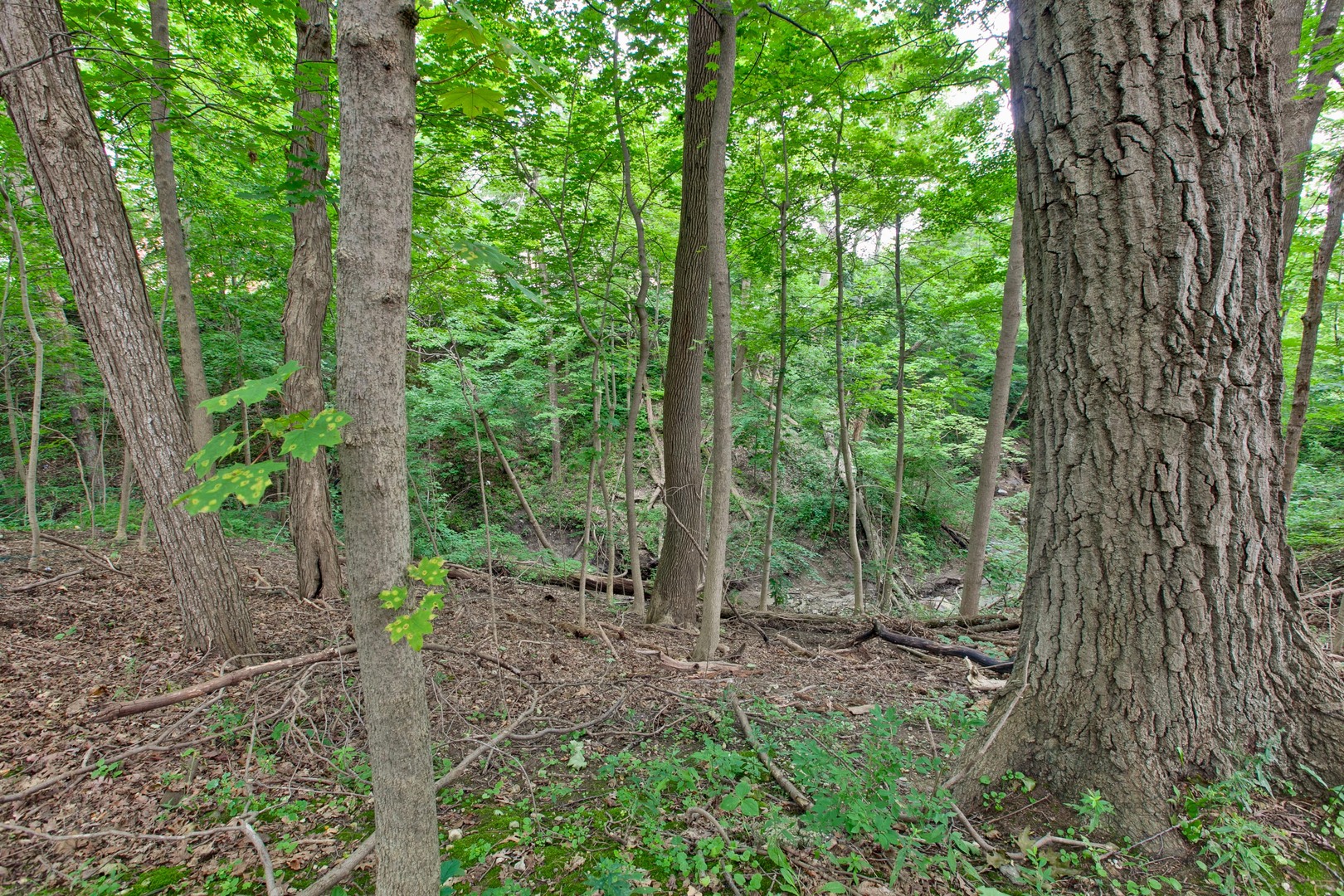427 North Sheridan Road Lake Forest, IL 60045 - Photo 53 of 56