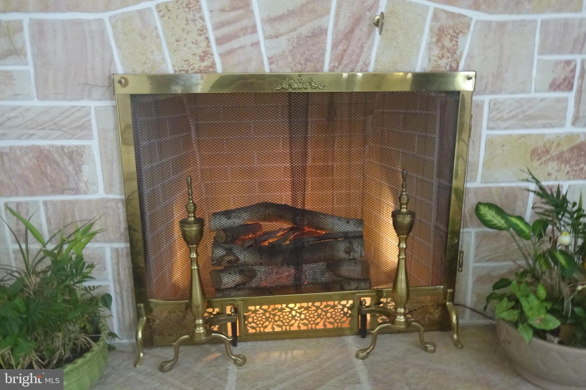 1009 Brechbill Road Chambersburg, PA 17202 - Photo 8 of 42 Electric logs in fireplace