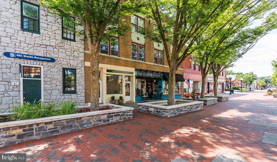 111 Curtain Fall Drive Middletown, VA 22645 - Photo 8 of 8