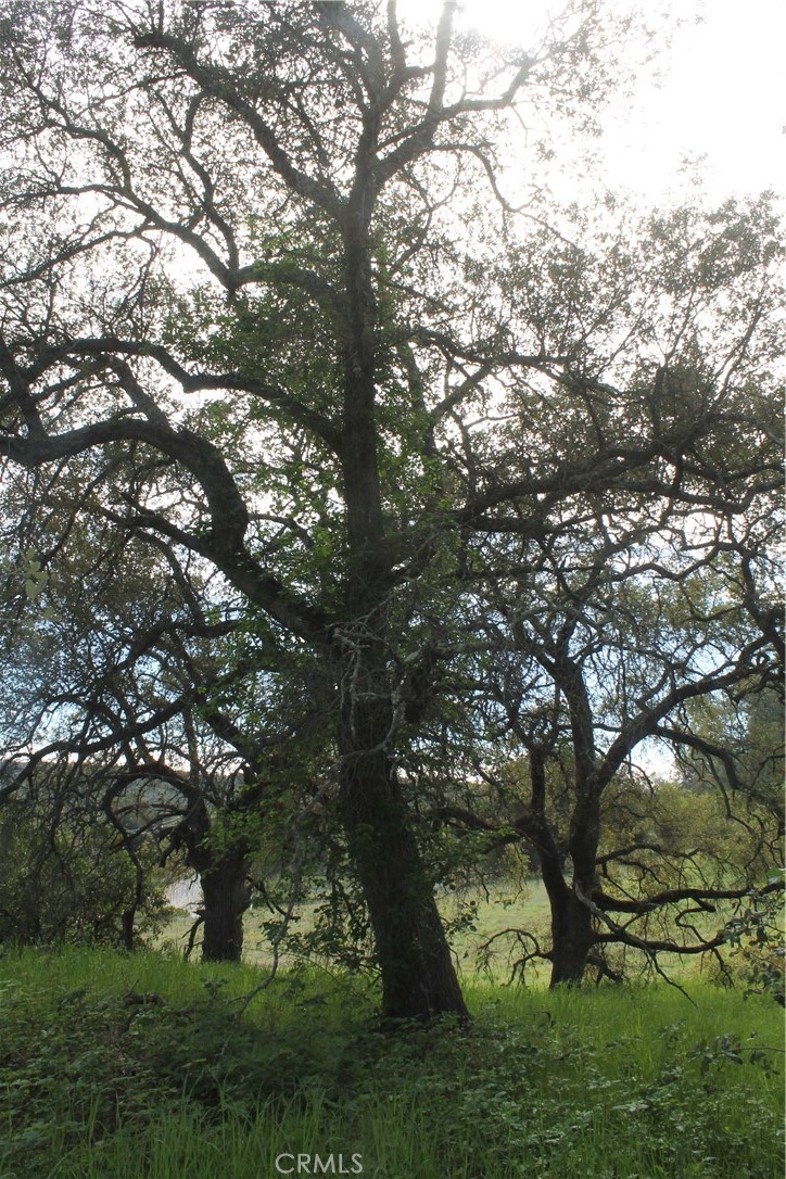 0 Tenaja Road Murrieta, CA 92562 - Photo 11 of 28 a view of a yard