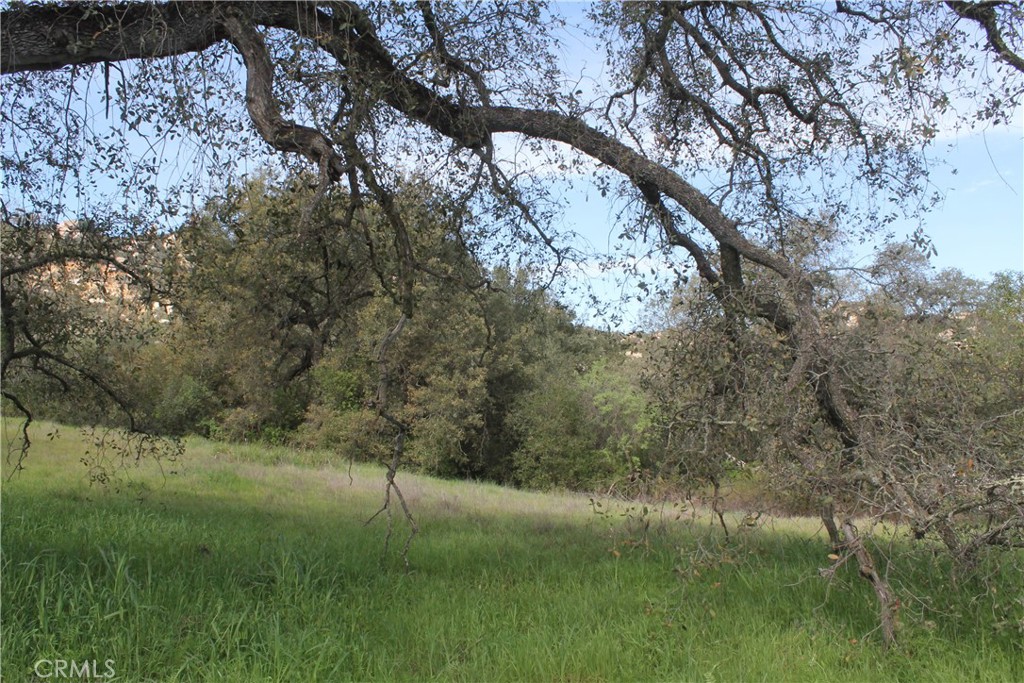 0 Tenaja Road Murrieta, CA 92562 - Photo 13 of 28 a view of a green yard