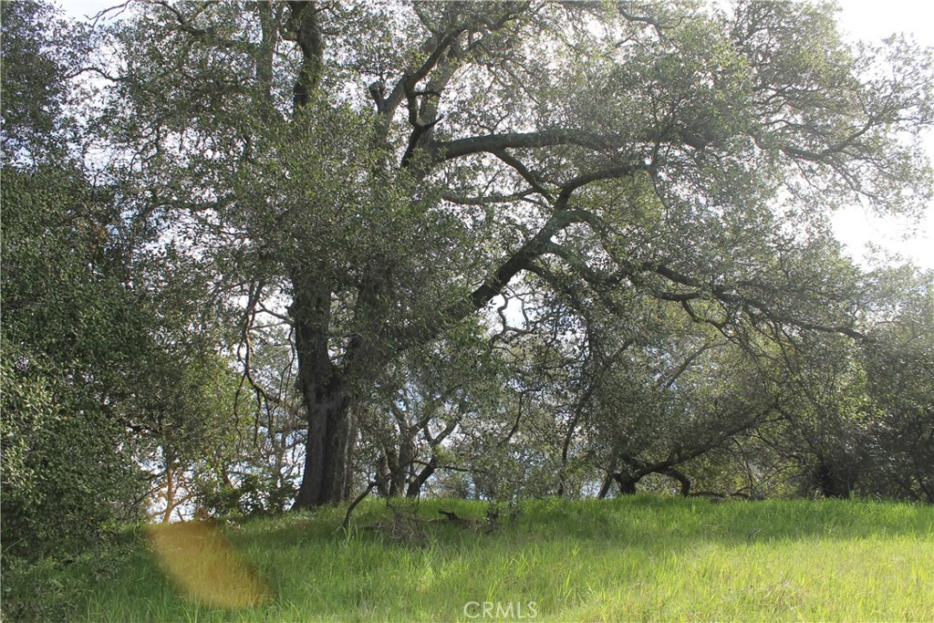 0 Tenaja Road Murrieta, CA 92562 - Photo 15 of 28 a view of lake with green space