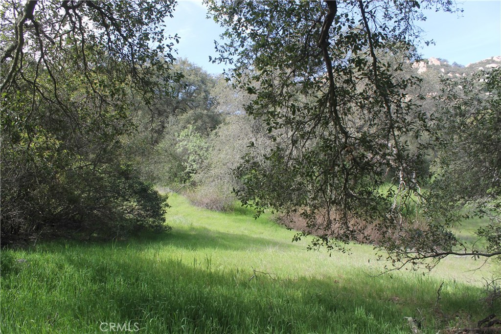 0 Tenaja Road Murrieta, CA 92562 - Photo 16 of 28 a view of a green yard