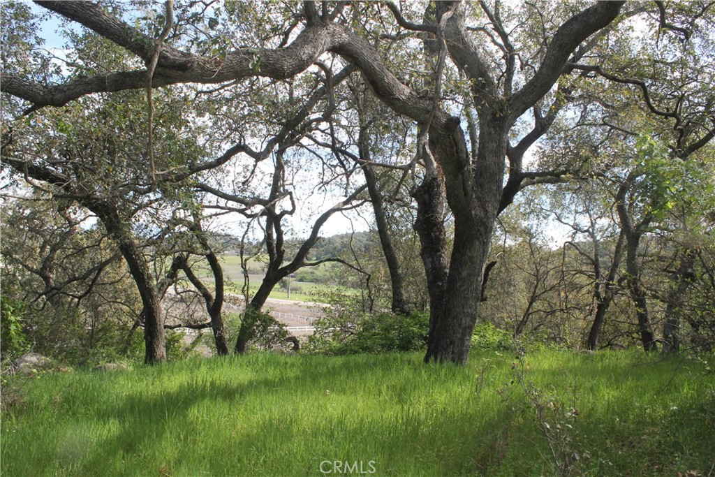 0 Tenaja Road Murrieta, CA 92562 - Photo 17 of 28 a view of backyard with green space