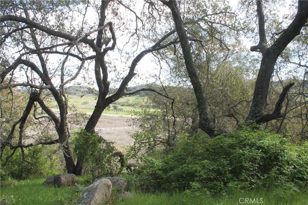 0 Tenaja Road Murrieta, CA 92562 - Photo 18 of 28 a view of mountain view with lots of trees