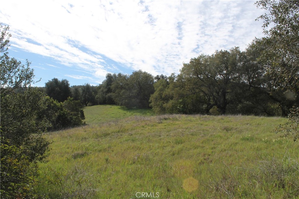 0 Tenaja Road Murrieta, CA 92562 - Photo 19 of 28 a big yard with lots of green space
