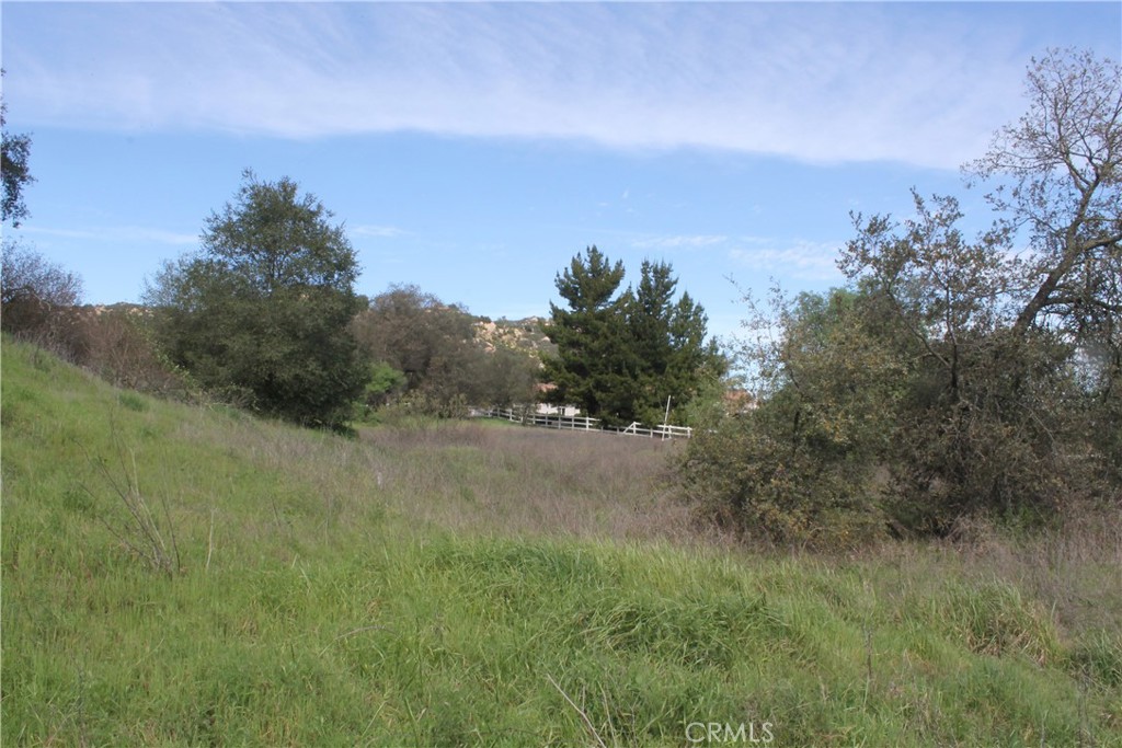 0 Tenaja Road Murrieta, CA 92562 - Photo 20 of 28 a view of a field of grass and trees