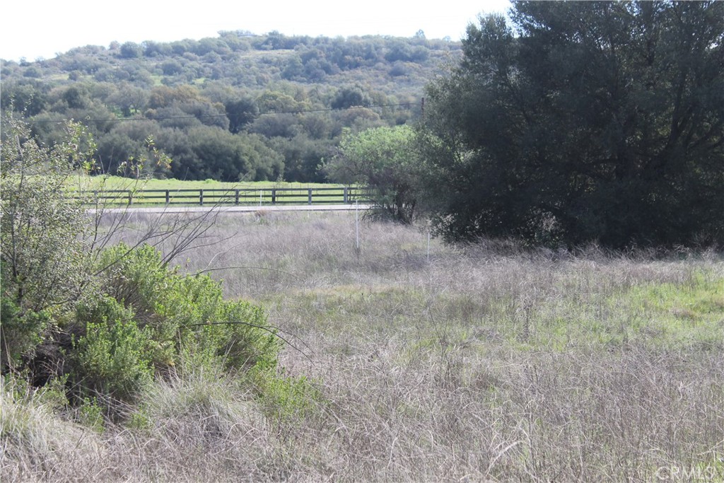0 Tenaja Road Murrieta, CA 92562 - Photo 22 of 28 a view of a field of grass and trees