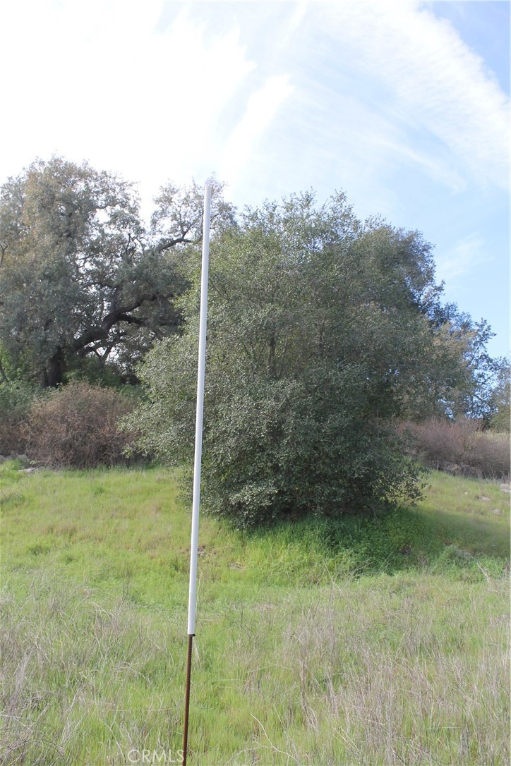 0 Tenaja Road Murrieta, CA 92562 - Photo 23 of 28 a view of a backyard
