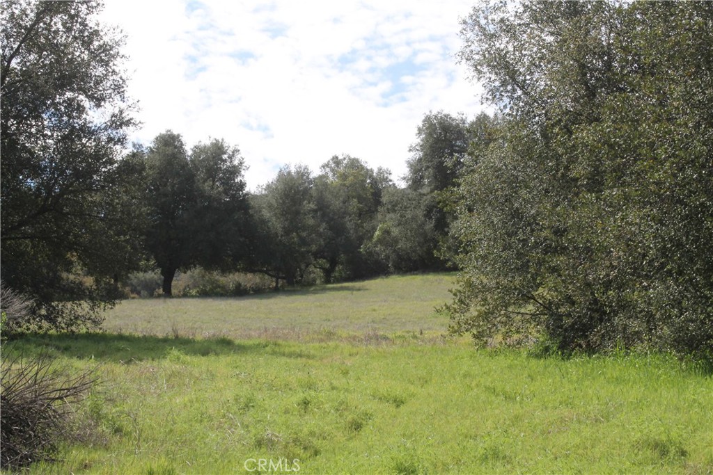 0 Tenaja Road Murrieta, CA 92562 - Photo 27 of 28 a view of outdoor space and yard