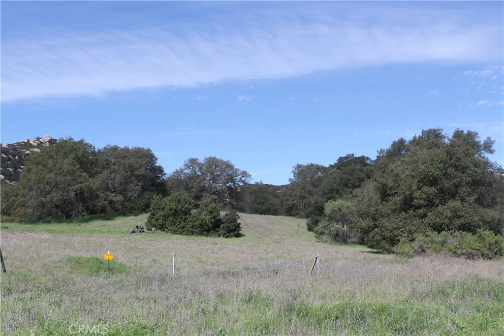 0 Tenaja Road Murrieta, CA 92562 - Photo 5 of 28 a view of a dry yard with trees