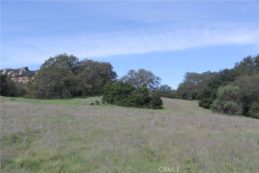 0 Tenaja Road Murrieta, CA 92562 - Photo 6 of 28 a view of a field with trees in background