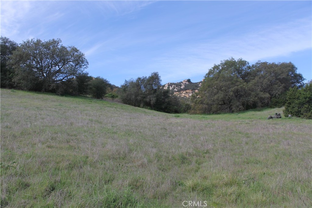 0 Tenaja Road Murrieta, CA 92562 - Photo 7 of 28 a view of a field with trees in background
