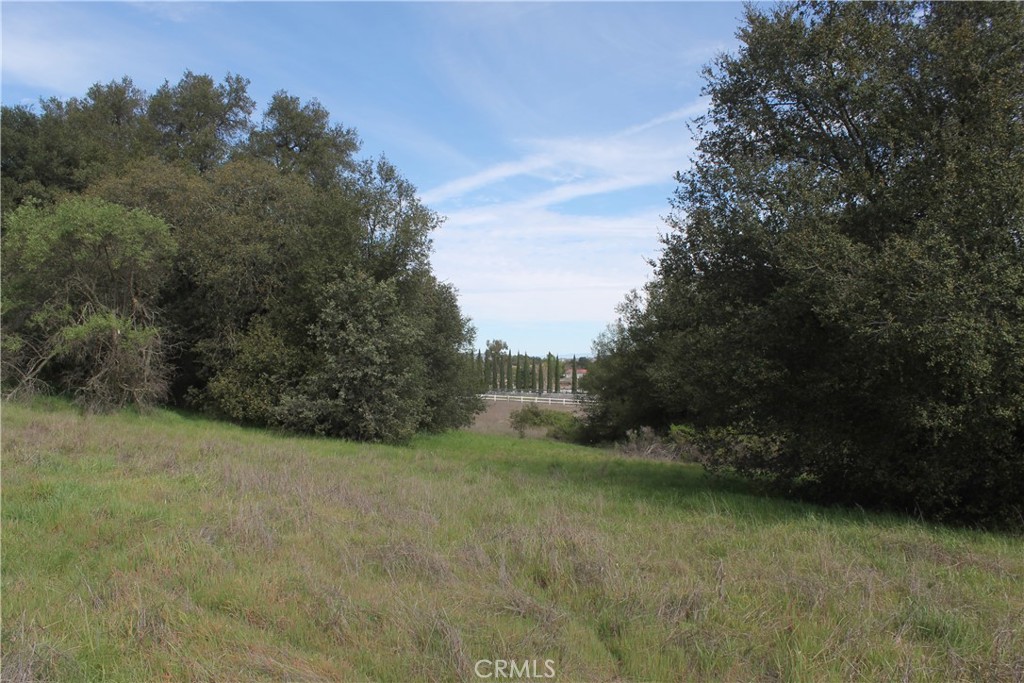 0 Tenaja Road Murrieta, CA 92562 - Photo 8 of 28 a view of a field with trees in background