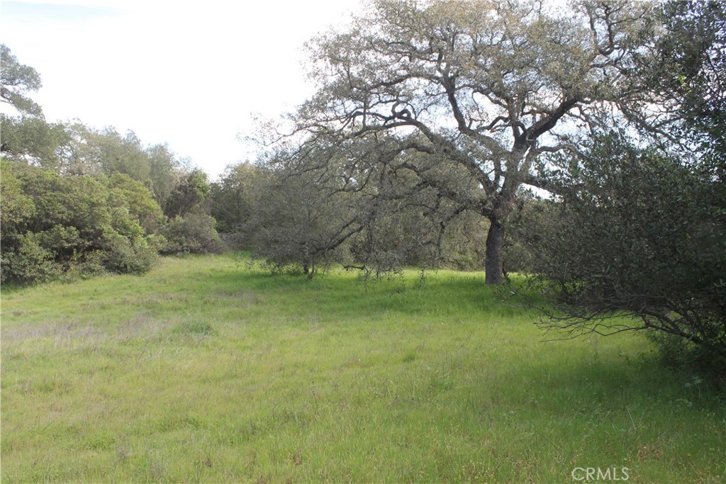 0 Tenaja Road Murrieta, CA 92562 - Photo 10 of 28 a view of outdoor space and yard
