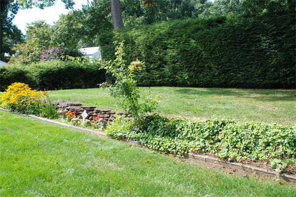 38 Endecott Street Springfield, MA 01118 - Photo 14 of 17 a view of a garden with a bench