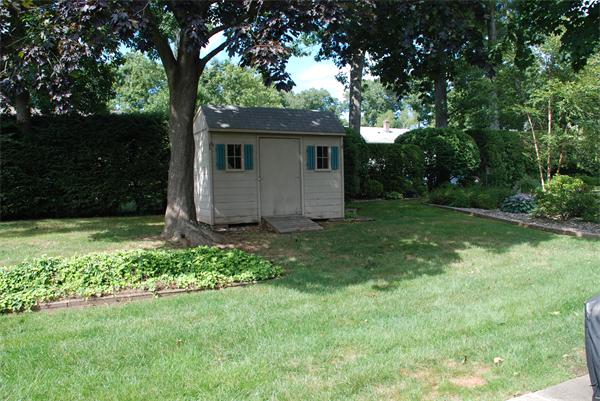 38 Endecott Street Springfield, MA 01118 - Photo 16 of 17 a view of a house with a tree in the grass