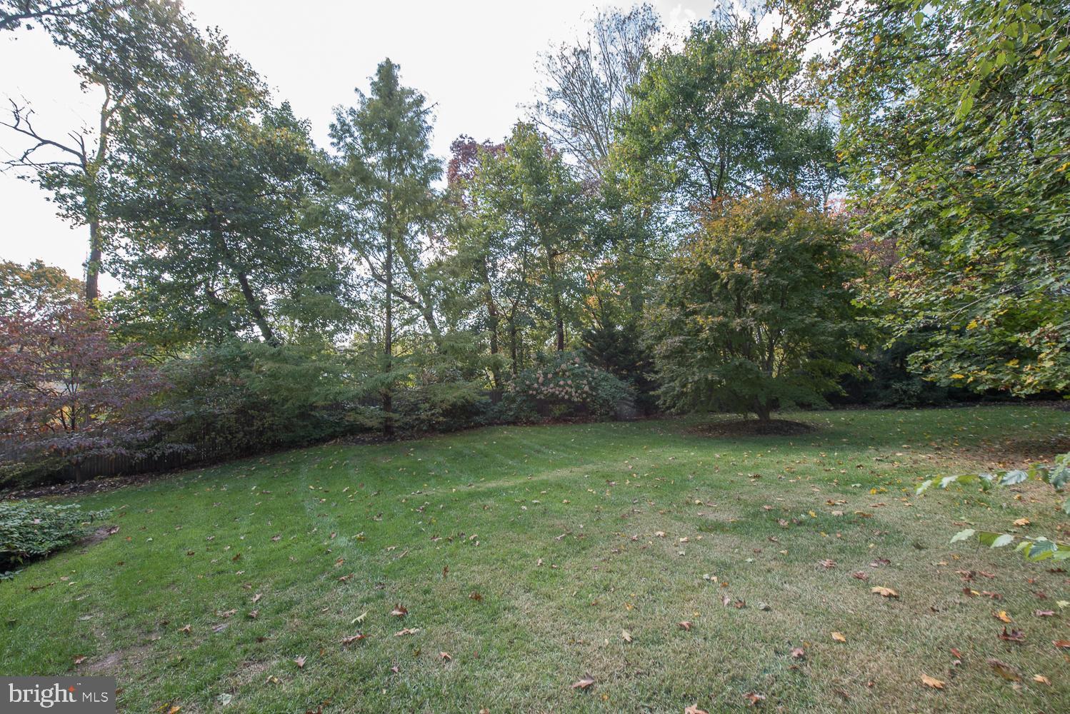 406 Homestead Road Wayne, PA 19087 - Photo 39 of 39 View of yard