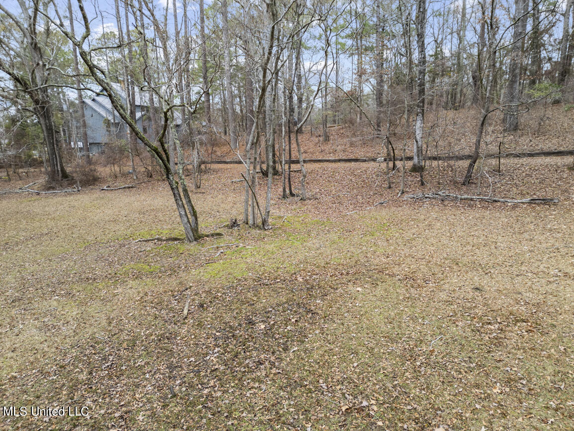 103 Sunset Lane Madison, MS 39110 - Photo 13 of 44 103 Sunset Lane drone final-12