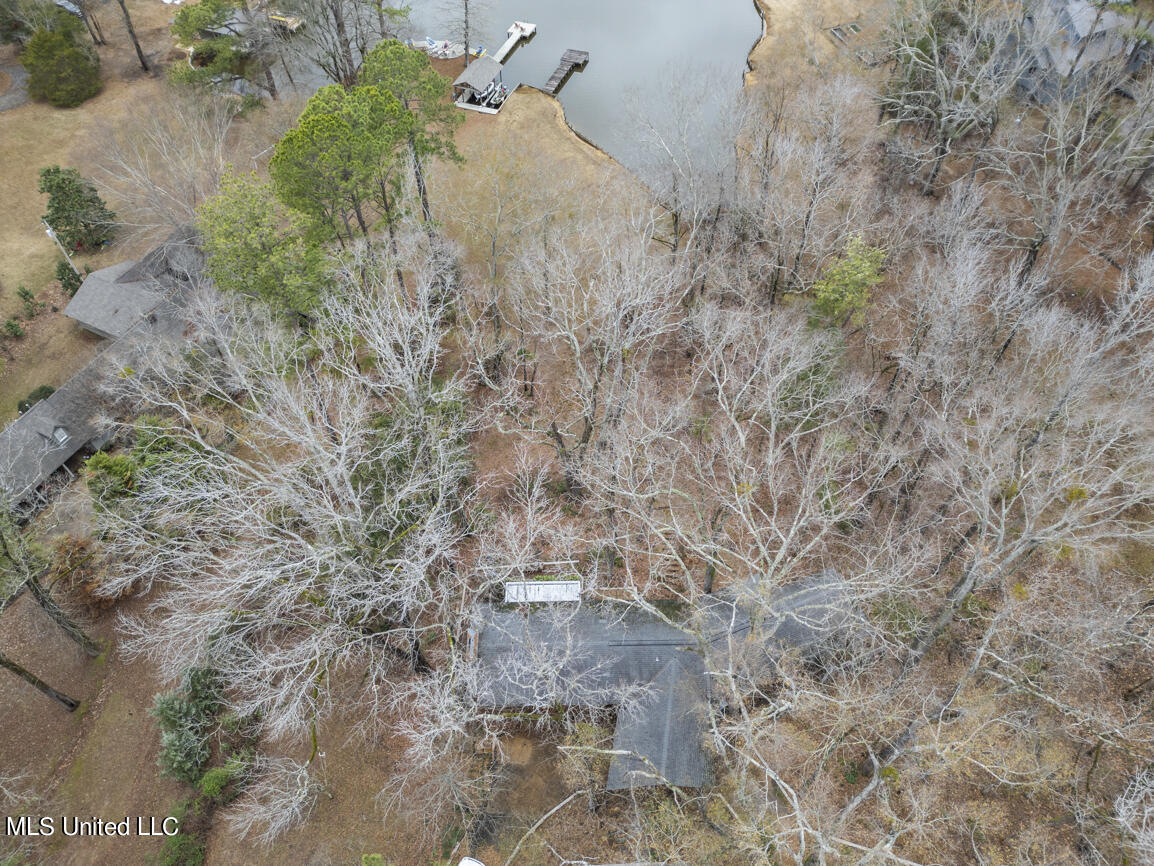 103 Sunset Lane Madison, MS 39110 - Photo 18 of 44 103 Sunset Lane drone final-9