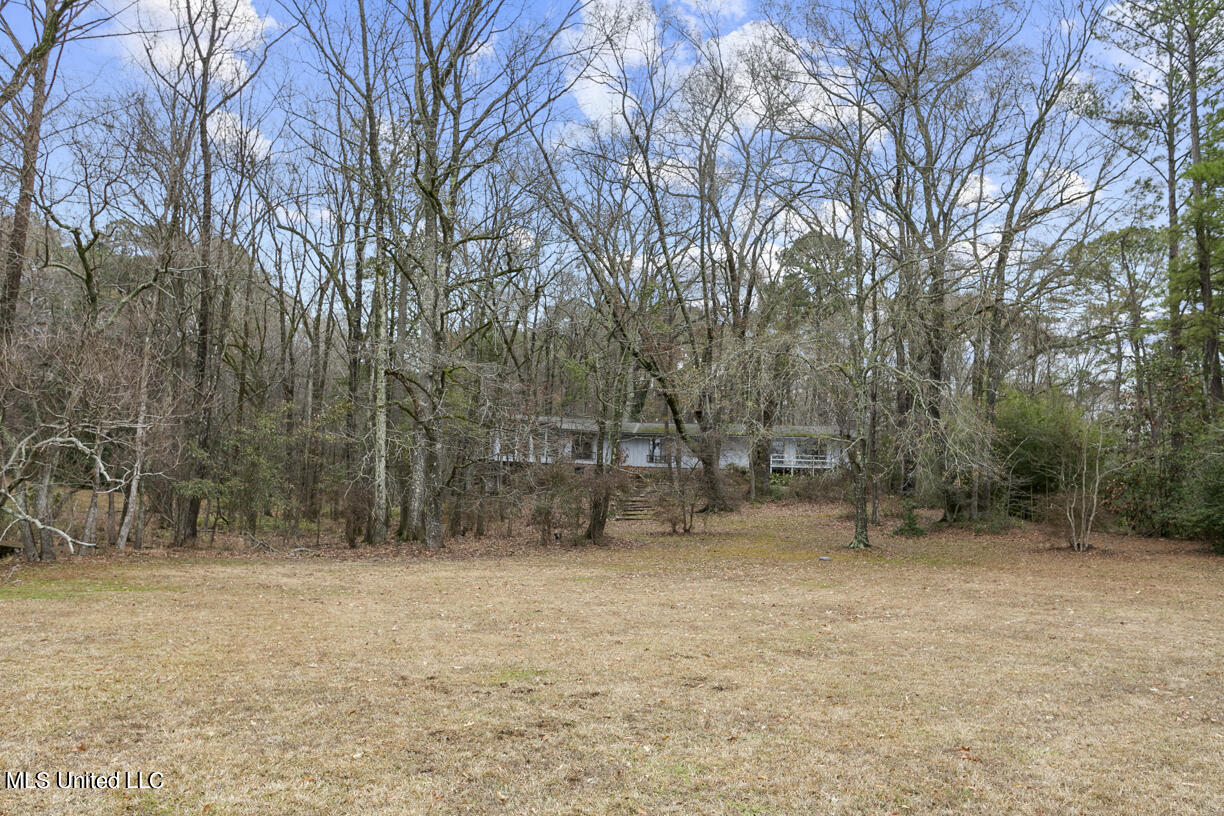 103 Sunset Lane Madison, MS 39110 - Photo 20 of 44 103 Sunset Lane final-26