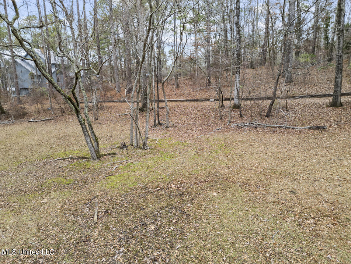 103 Sunset Lane Madison, MS 39110 - Photo 26 of 44 103 Sunset Lane drone final-14