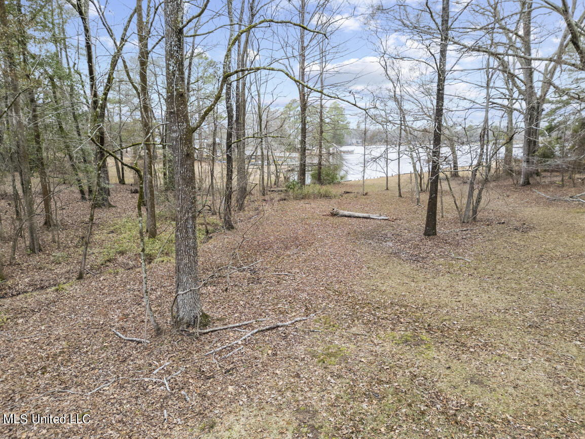 103 Sunset Lane Madison, MS 39110 - Photo 9 of 44 103 Sunset Lane drone final-16