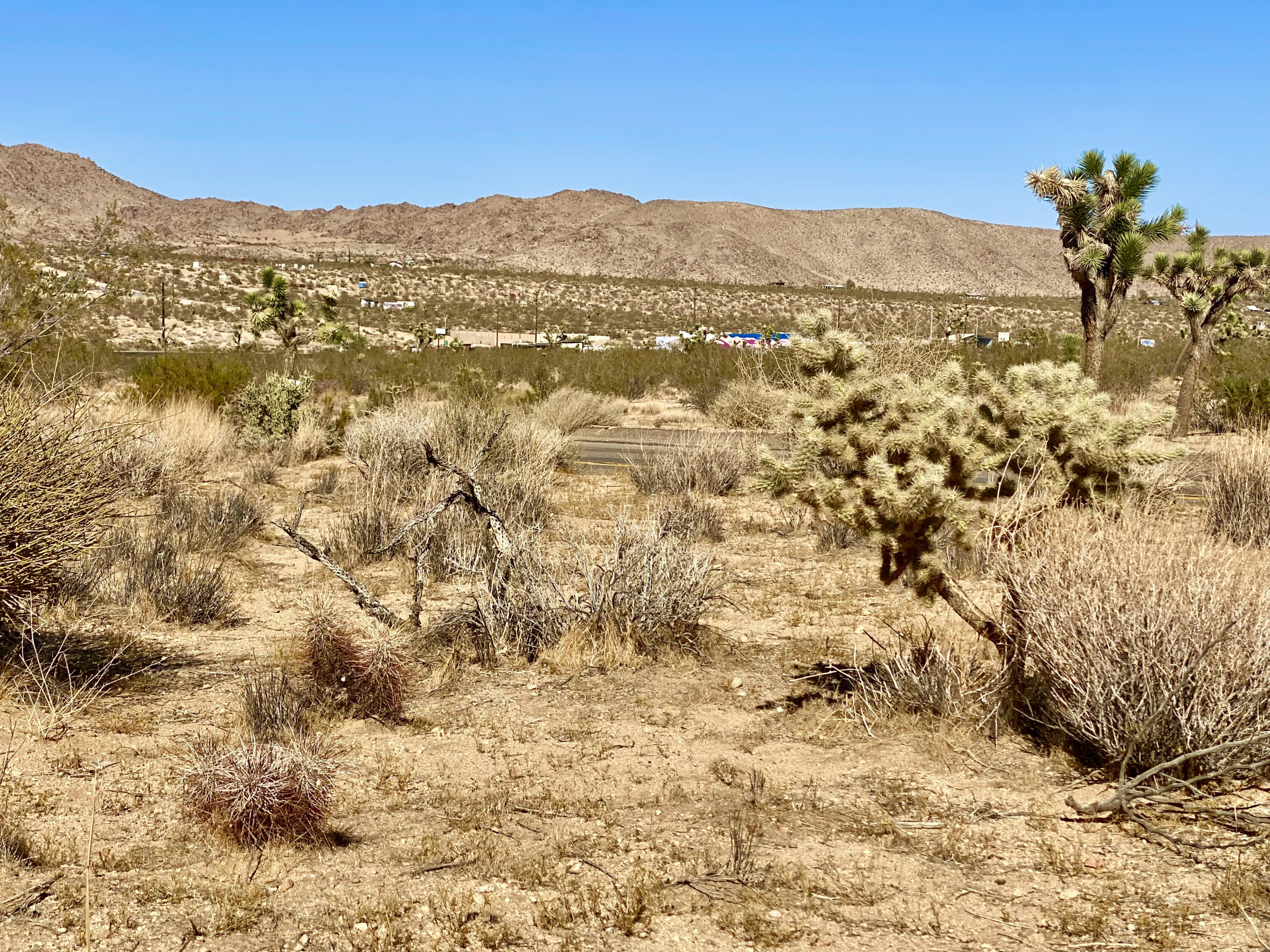 307 Sunny Vista Road Joshua Tree, CA 92252 - Photo 11 of 41 IMG_6697