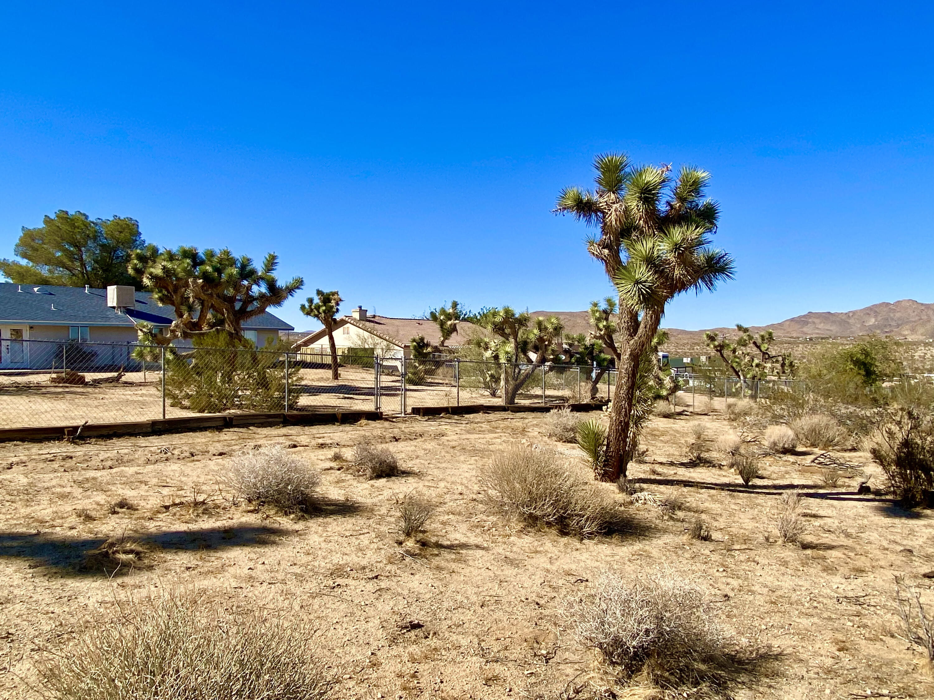 307 Sunny Vista Road Joshua Tree, CA 92252 - Photo 16 of 41 IMG_6703