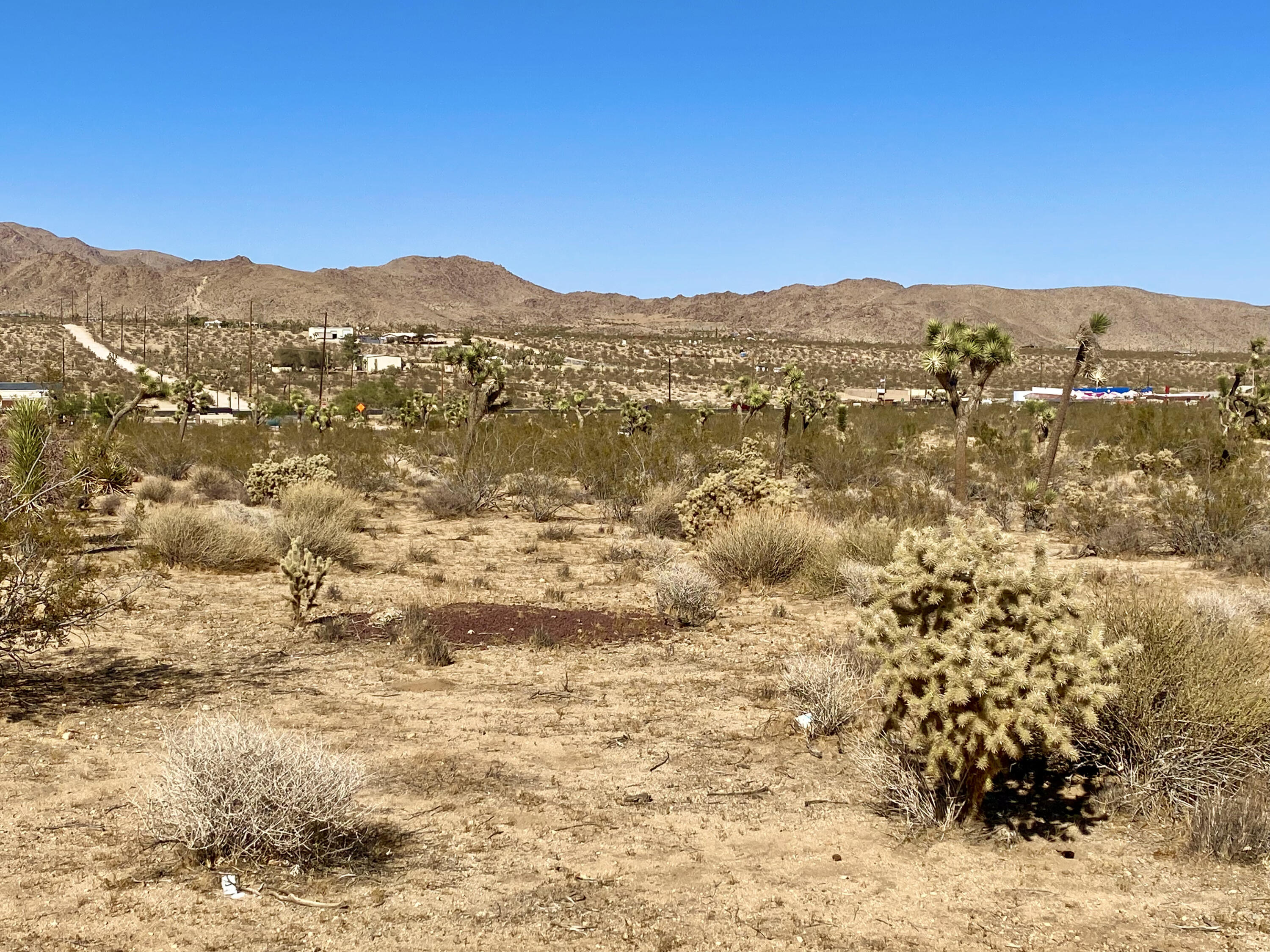 307 Sunny Vista Road Joshua Tree, CA 92252 - Photo 17 of 41 IMG_6704
