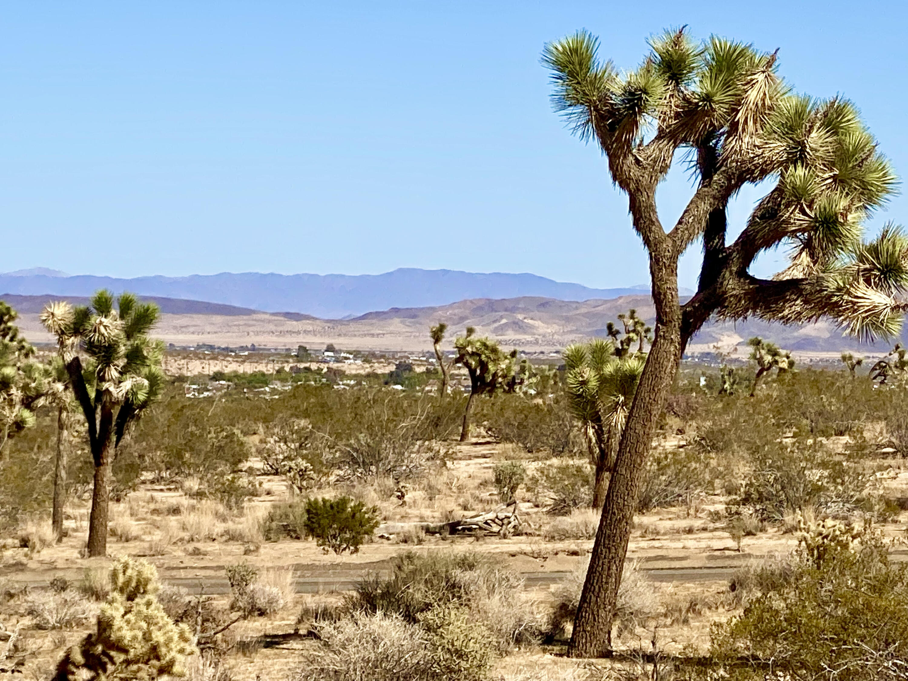307 Sunny Vista Road Joshua Tree, CA 92252 - Photo 18 of 41 IMG_6705