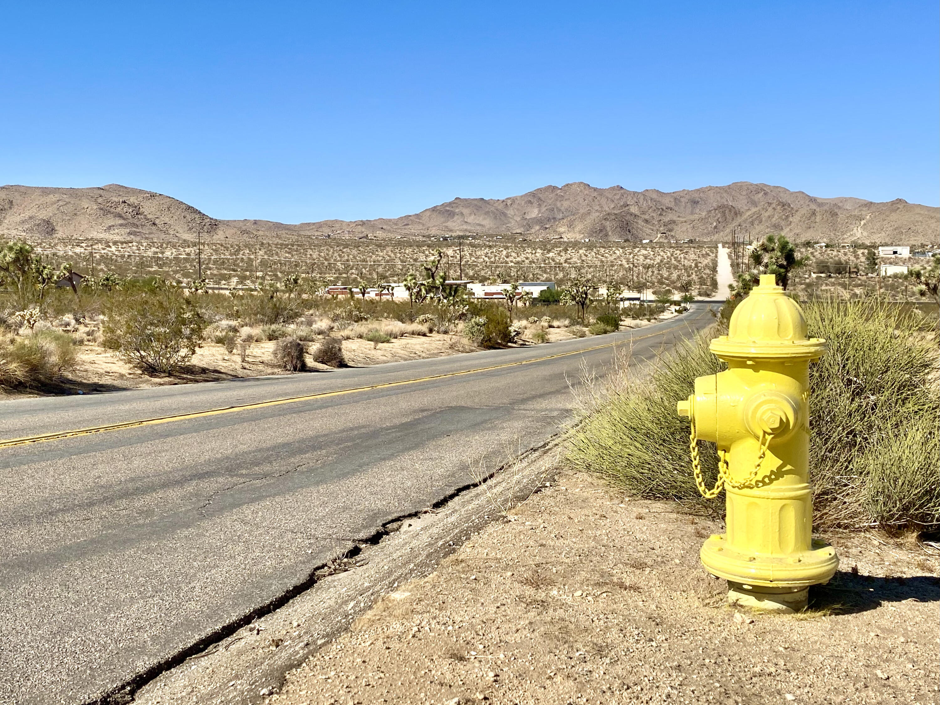 307 Sunny Vista Road Joshua Tree, CA 92252 - Photo 3 of 41 IMG_6690