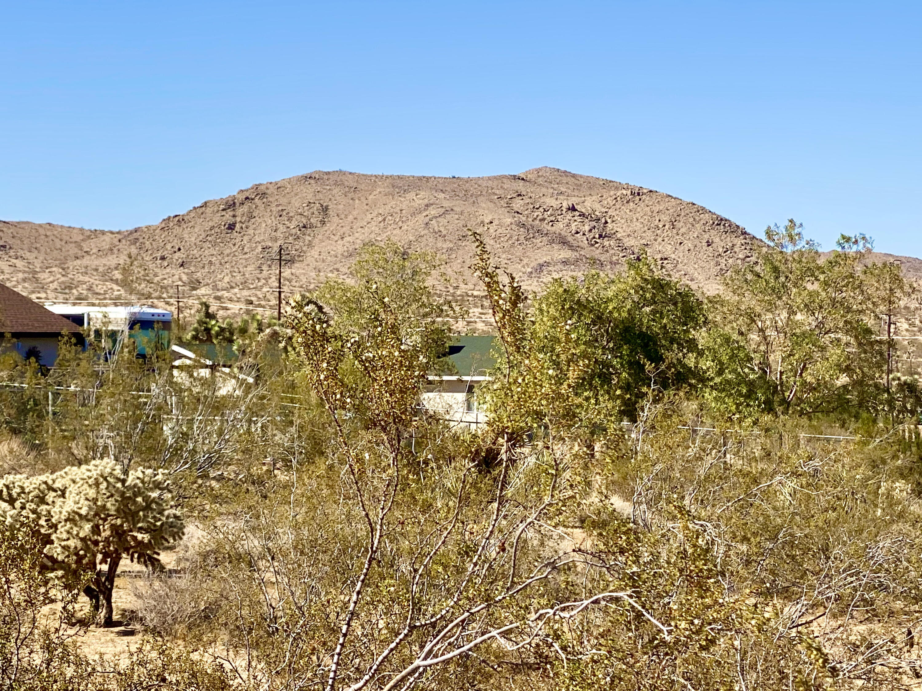 307 Sunny Vista Road Joshua Tree, CA 92252 - Photo 29 of 41 IMG_6720
