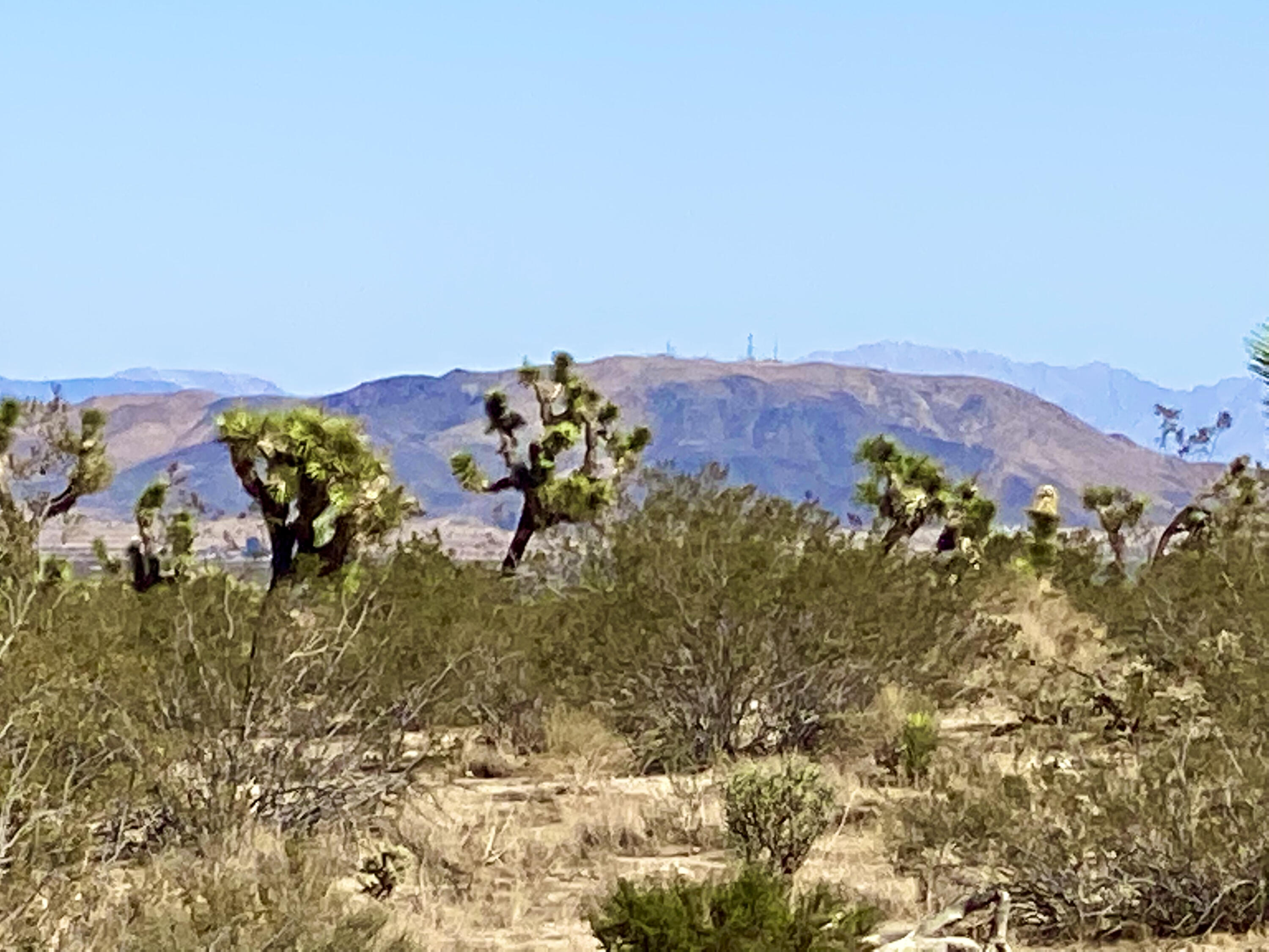 307 Sunny Vista Road Joshua Tree, CA 92252 - Photo 32 of 41 IMG_6724