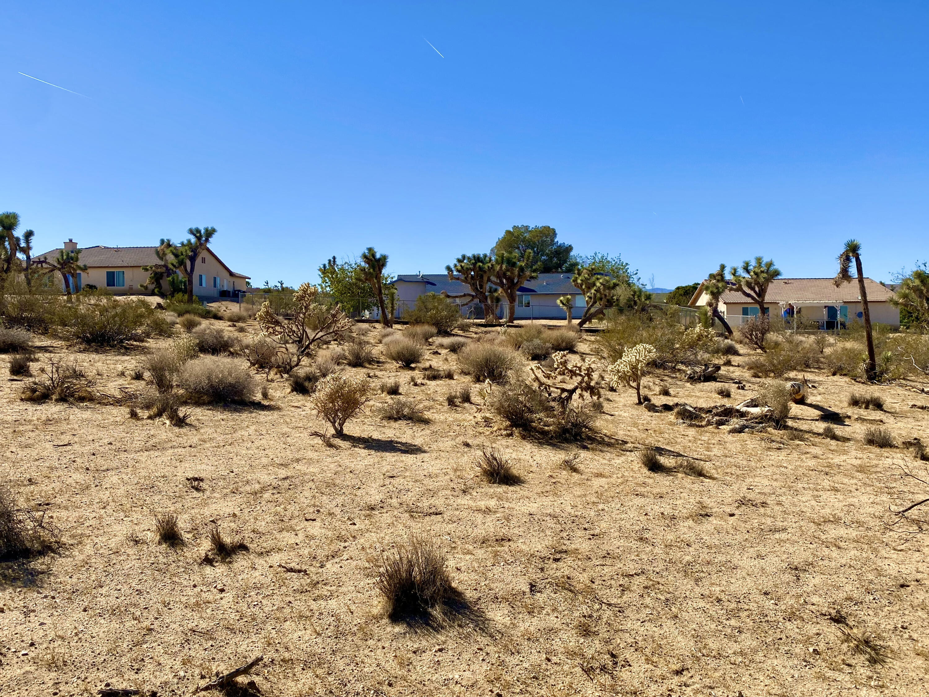307 Sunny Vista Road Joshua Tree, CA 92252 - Photo 34 of 41 IMG_6729