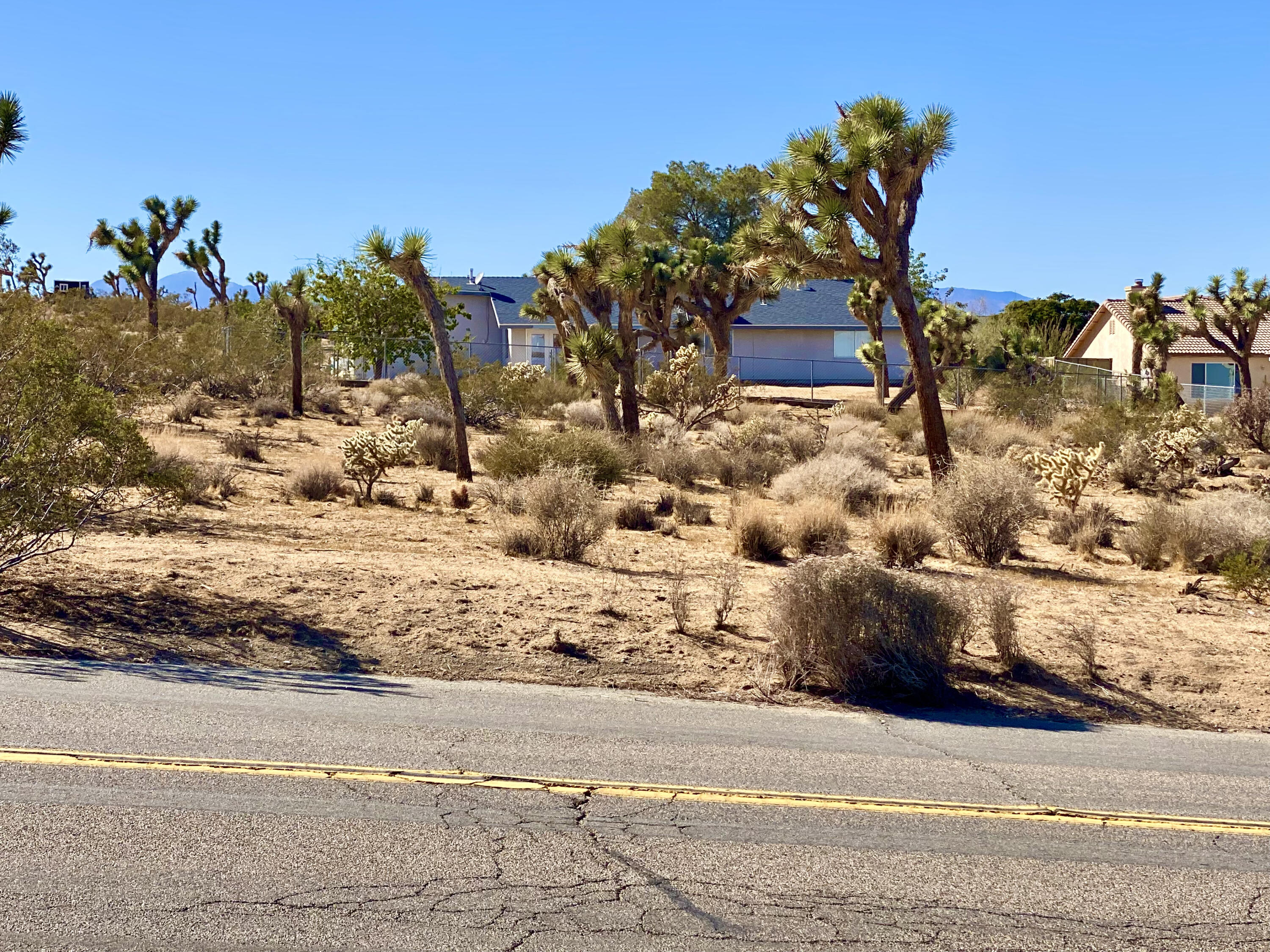307 Sunny Vista Road Joshua Tree, CA 92252 - Photo 10 of 41 IMG_6695