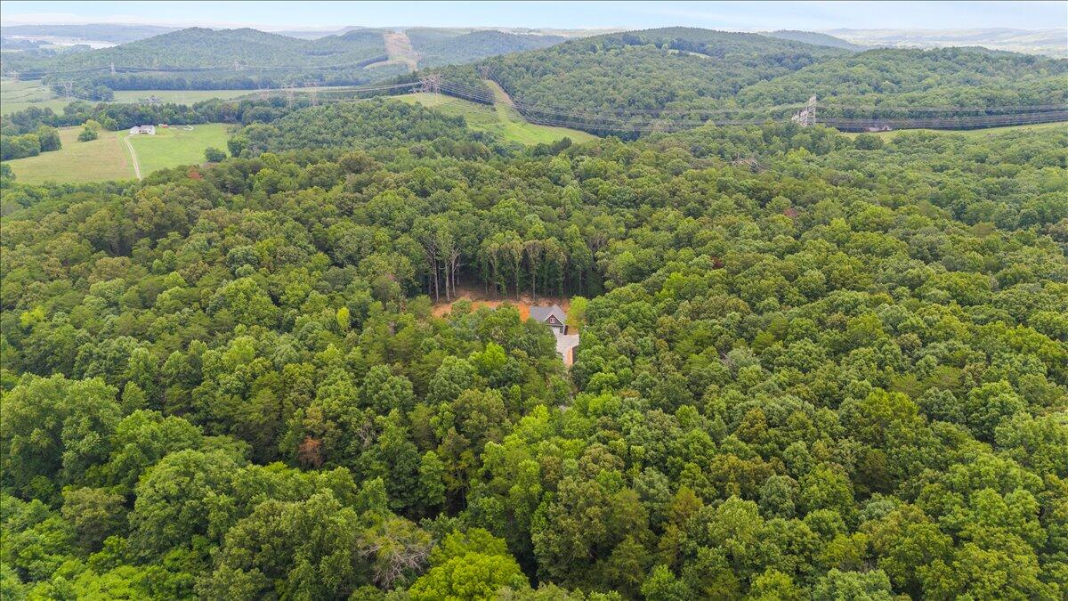 3710 River Road Decatur, TN 37322 - Photo 102 of 107 096-DJI_20260715163711_0496_D