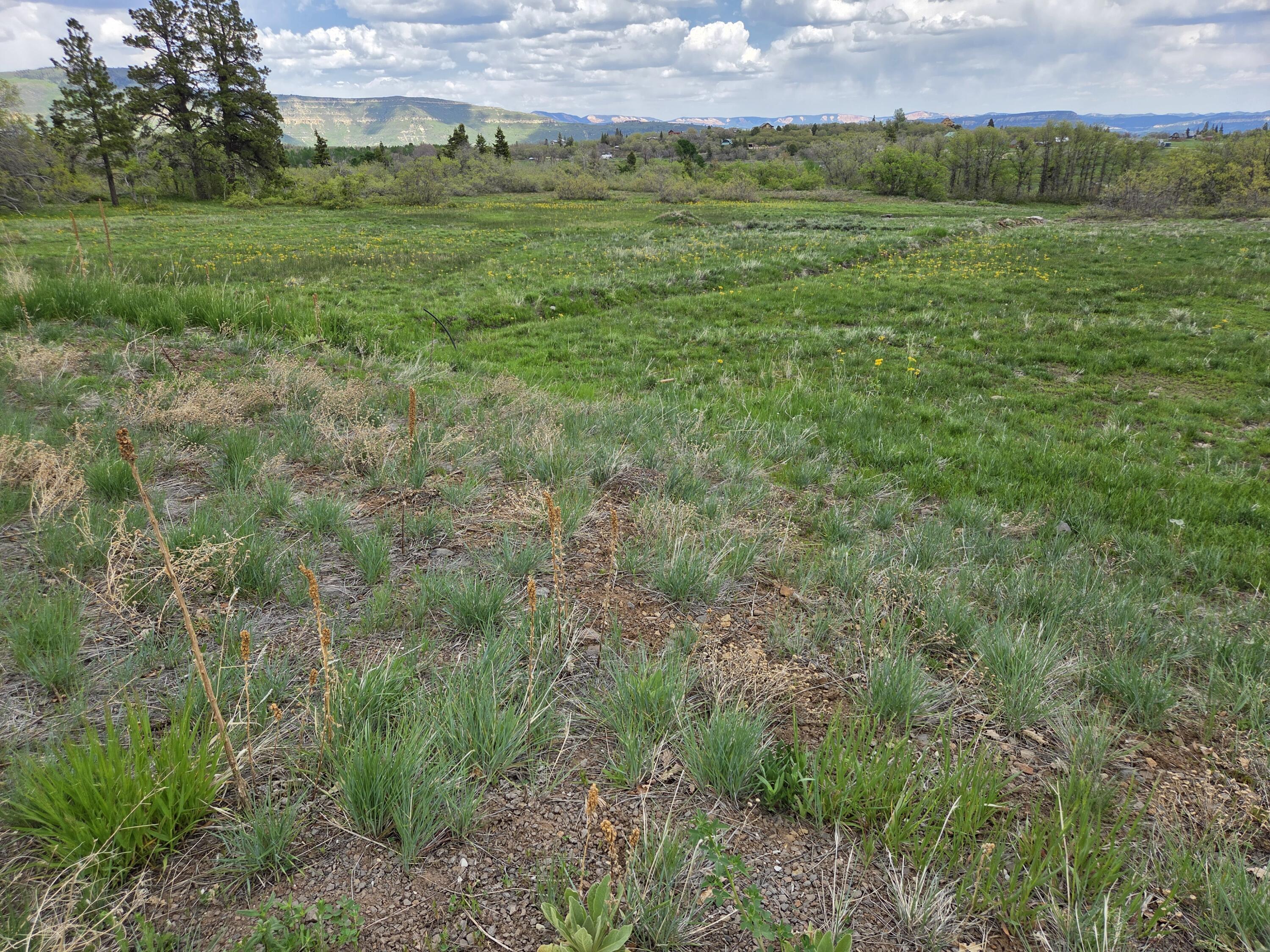 Lot 10 Spring Drive Springdale, UT 84767 - Photo 14 of 14 1000006231