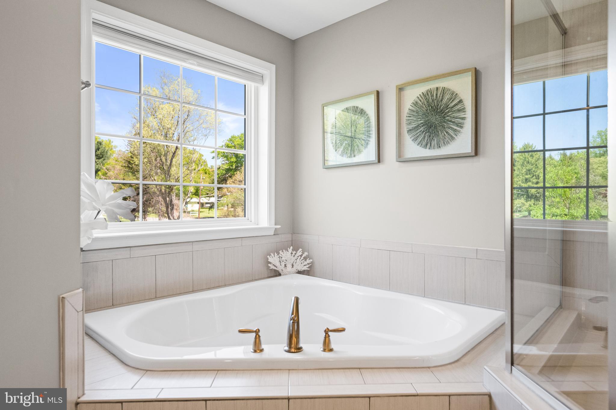 413 Vierling Drive Silver Spring, MD 20904 - Photo 44 of 82 a white bath tub sitting in a bathroom next to a window